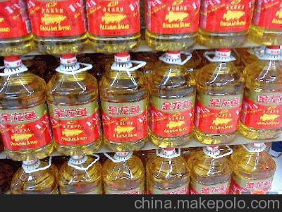 食用油批發市場全景 金龍魚調和油、大豆油與玉米油——逸博食品貿易的優質選擇