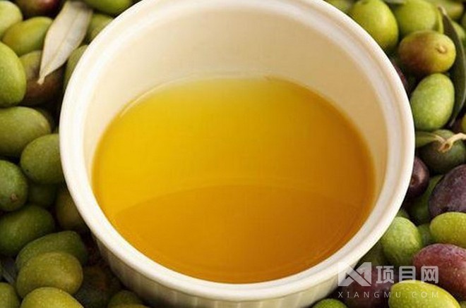 金山利多茶籽油 從深山油茶果到國民健康餐桌的品質(zhì)飛躍