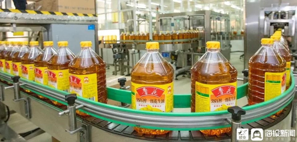 民族品牌的驕子，為什么是魯花？